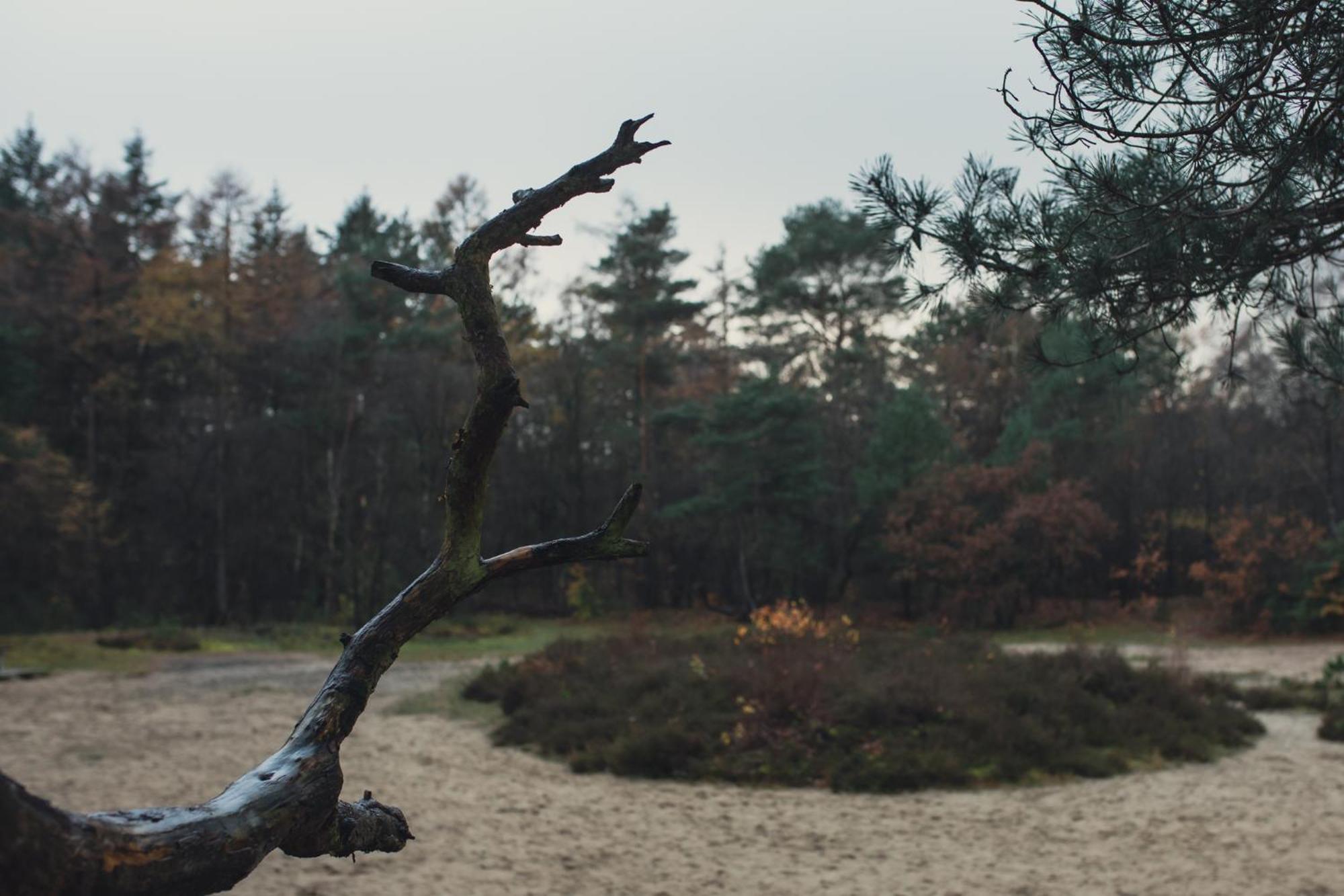 Drents Genieten - Kraaiheide Erm Buitenkant foto