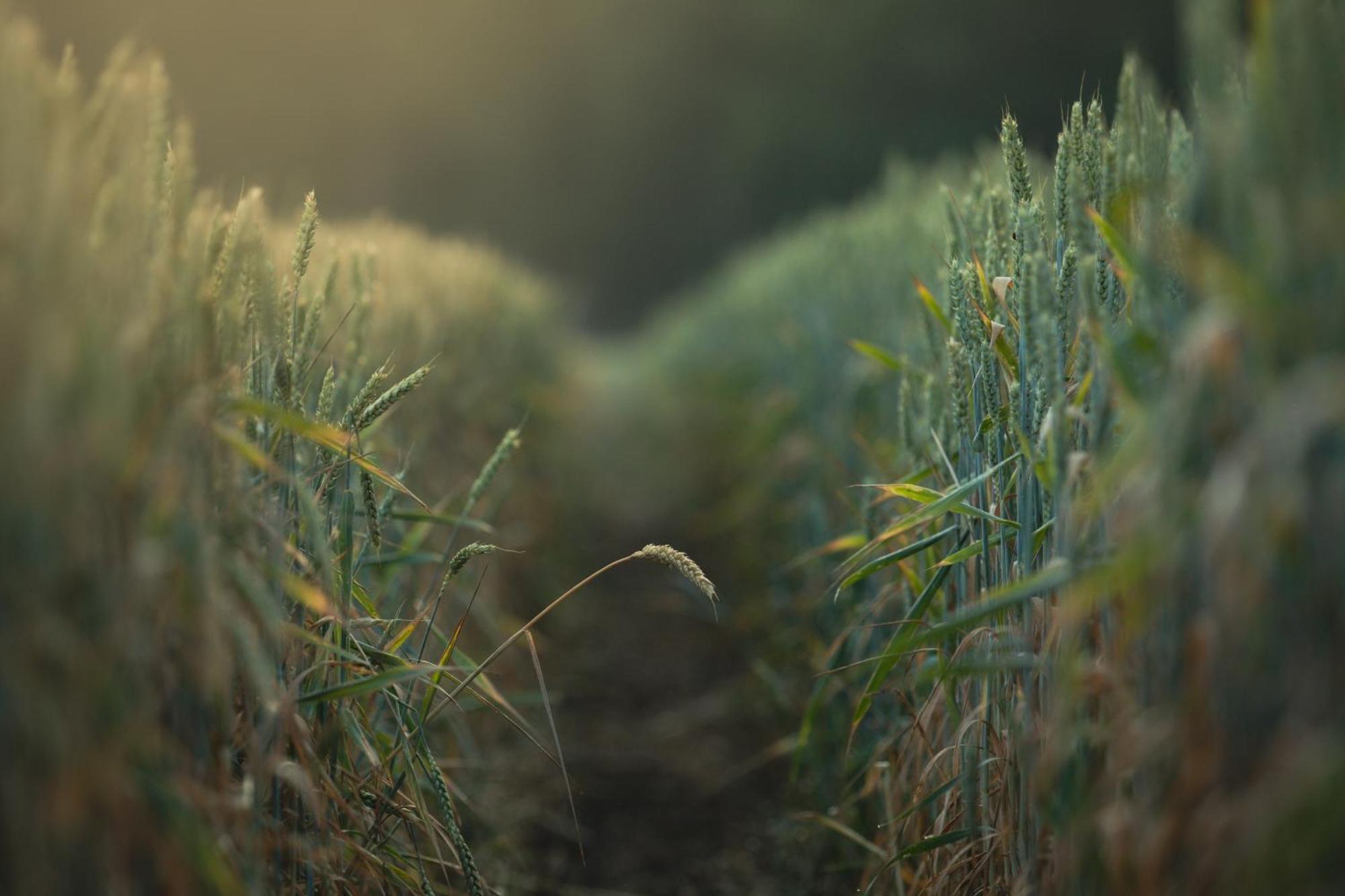 Drents Genieten - Kraaiheide Erm Buitenkant foto