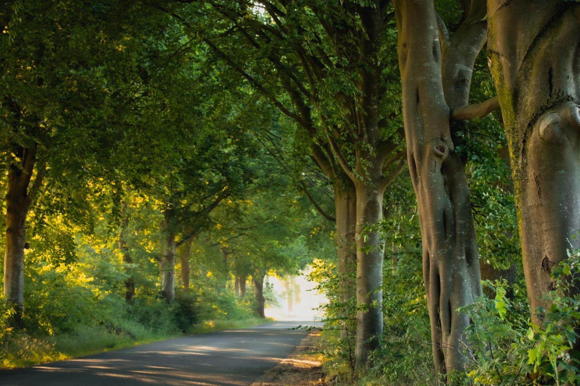Drents Genieten - Kraaiheide Erm Buitenkant foto